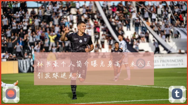 林书豪个人简介曝光身高一米八五引发球迷关注