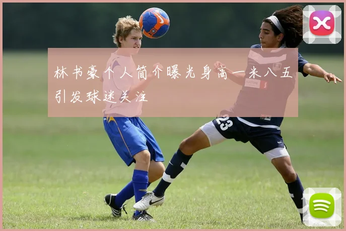 林书豪个人简介曝光身高一米八五引发球迷关注