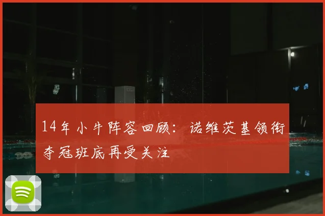 14年小牛阵容回顾：诺维茨基领衔夺冠班底再受关注