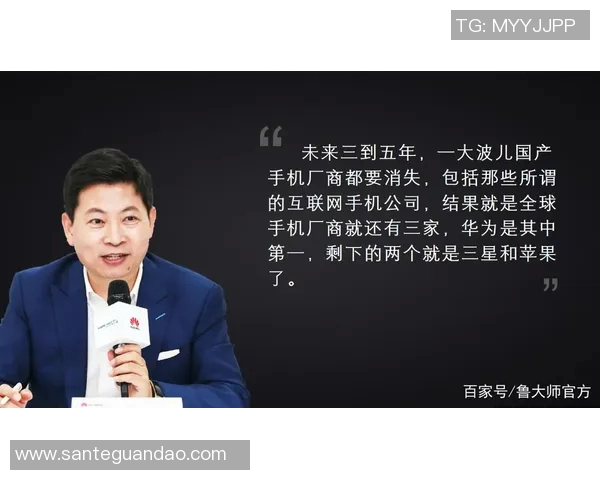 深圳排球队崛起之路精英赛背后的奋斗与荣耀